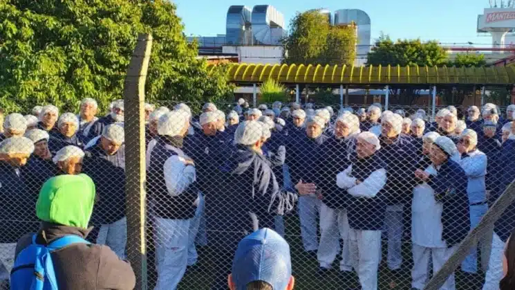 Georalos suspende a 600 trabajadores por derrumbe en ventas de Mantecol —…