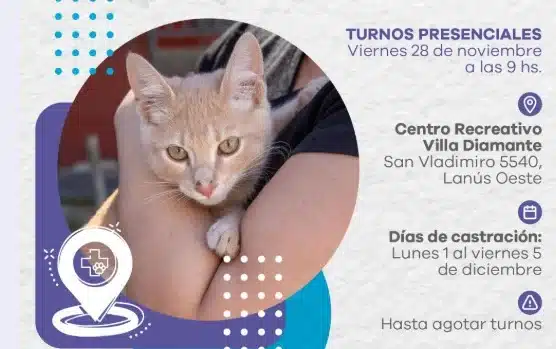 Mascotas: Llevan el Punto de Castración Itinerante a Lanús Oeste — Imagen 1