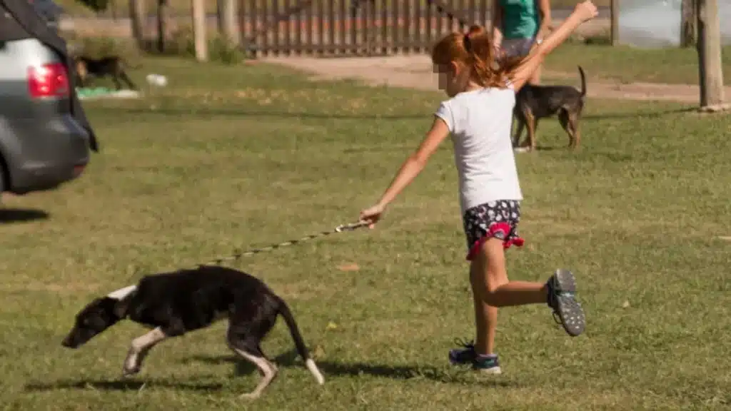 El Campito abre sus puertas este sábado para una visita con los animales —…