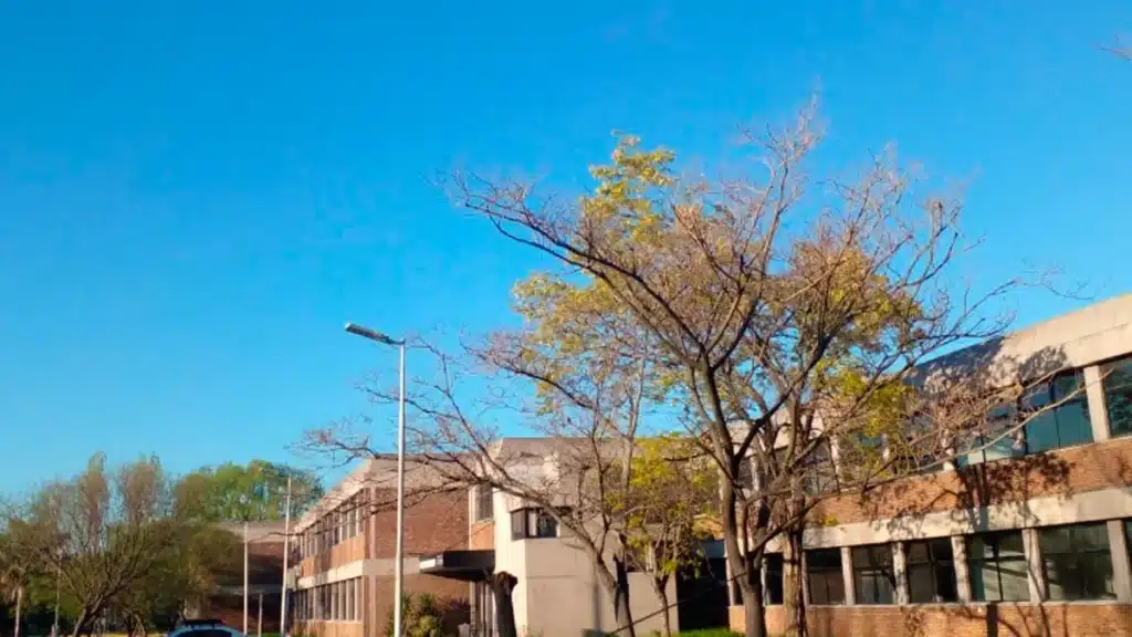 Temperatura máxima en Conurbano asciende a 28 grados — Imagen 1