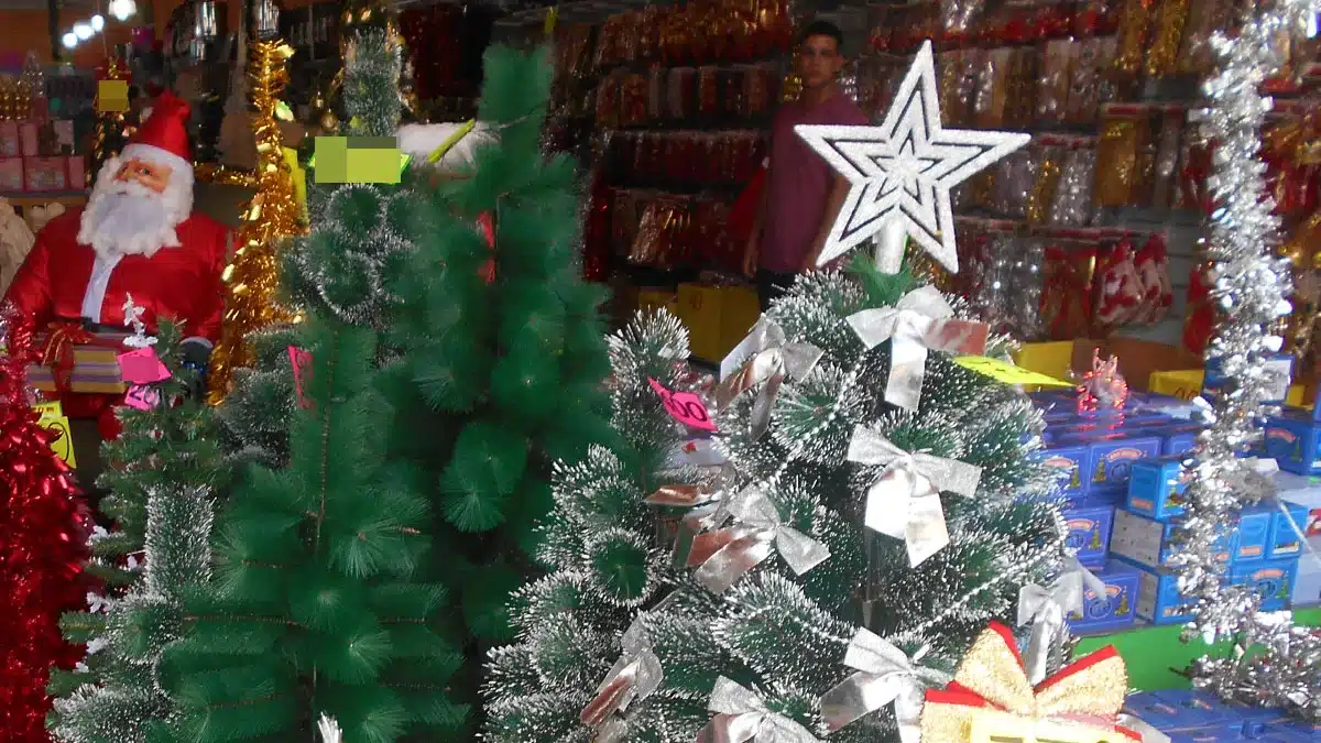 ¿Por qué el Arbolito de Navidad se arma el 8 de diciembre? — Imagen 1