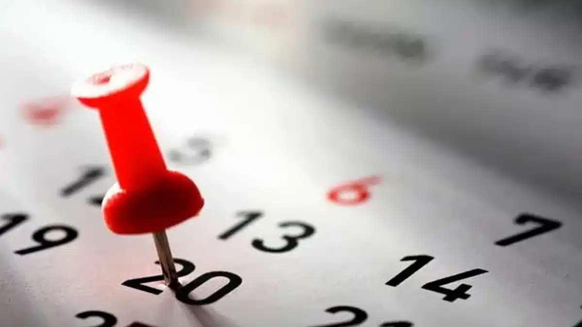 Calendario Oficial de Feriados 2026: Más Fines de Semana Largos y Días No…