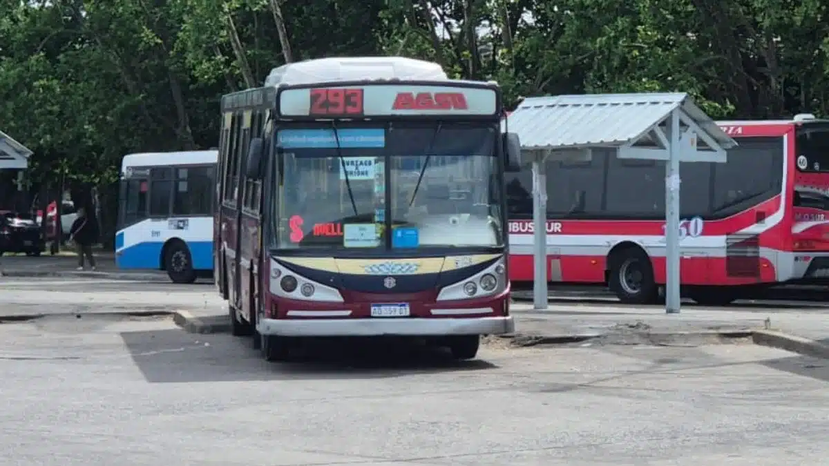 Almirante Brown: nuevo ramal de colectivo que une Burzaco con Don Orione —…