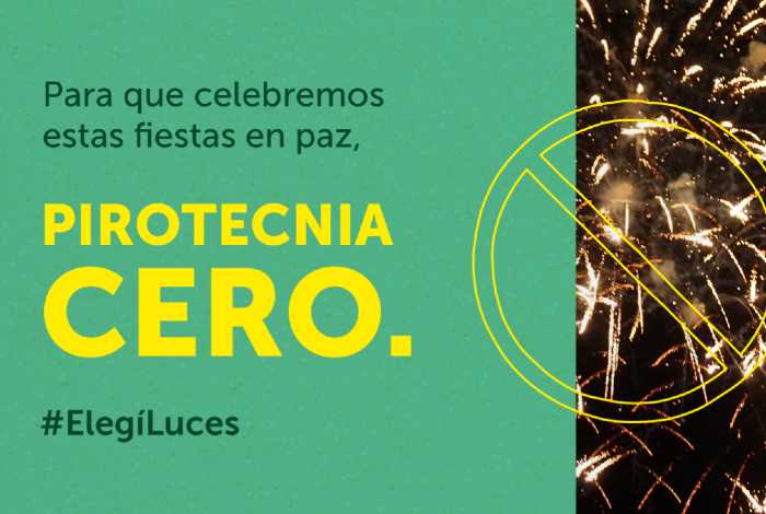 En Ituzaingó las fiestas se celebran “sin pirotecnia”: A días de…