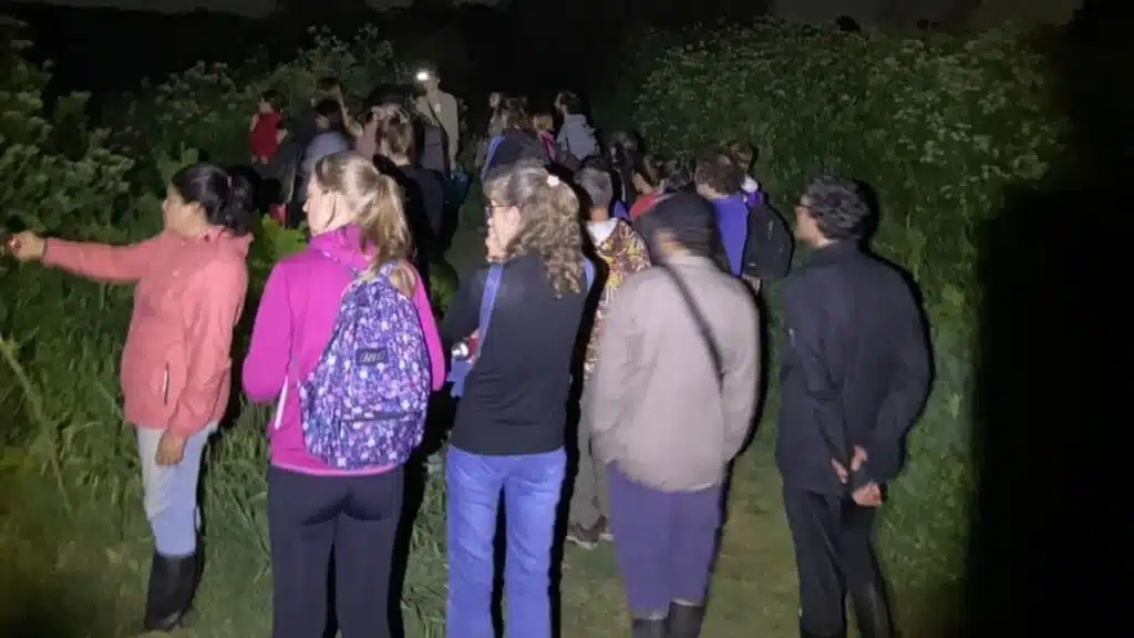 Noche de estrellas en la laguna de San Vicente — Imagen 1