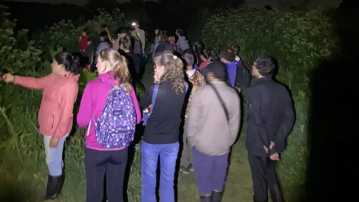 Noche de estrellas en la laguna de San Vicente — Imagen 1