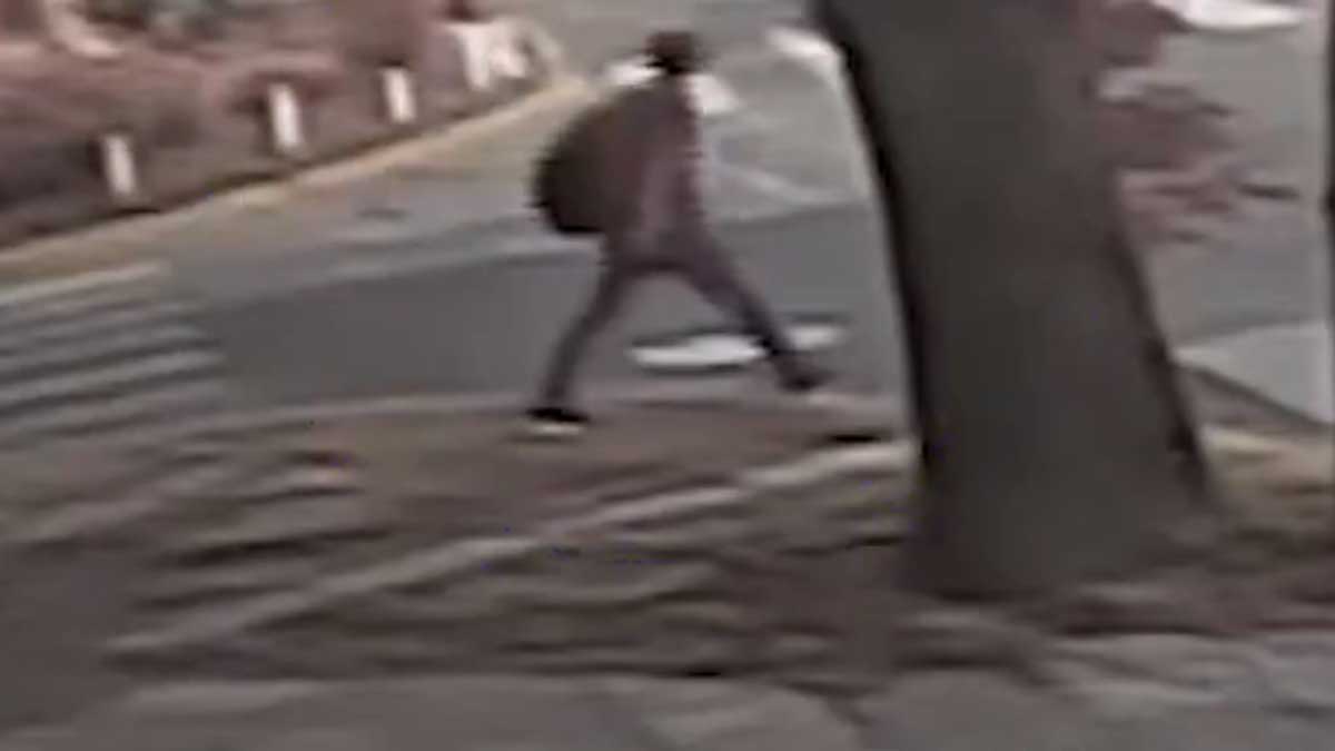 Mujer degollada en el Conurbano: reconstruyen la fuga del agresor y se busca a…