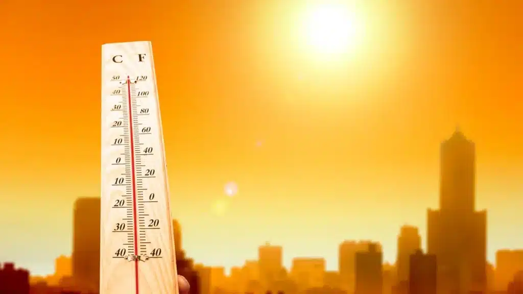 Temperaturas extremas en la Zona Sur: alerta amarilla y máximo de 35u00ba para…