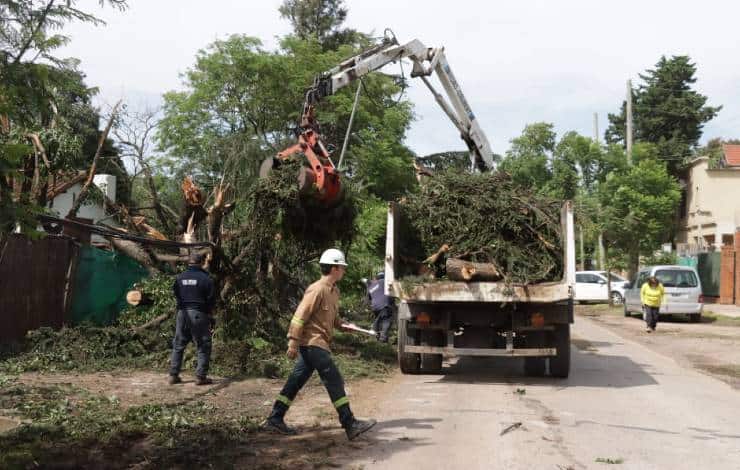 Cronograma del sistema municipal de recolección de ramas para esta semana —…