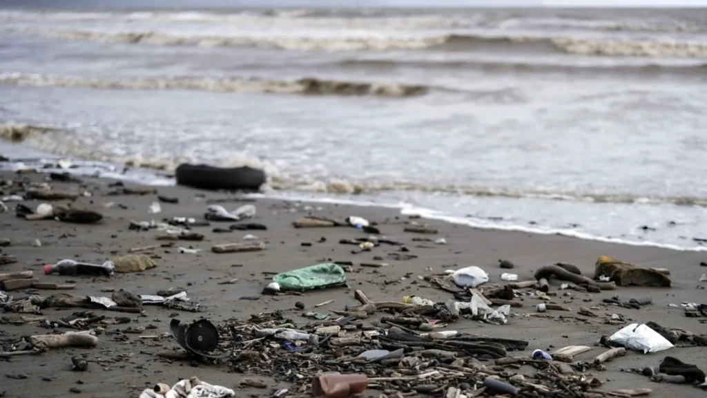 Residuos en la costa bonaerense: 78% son plásticos — Imagen 1