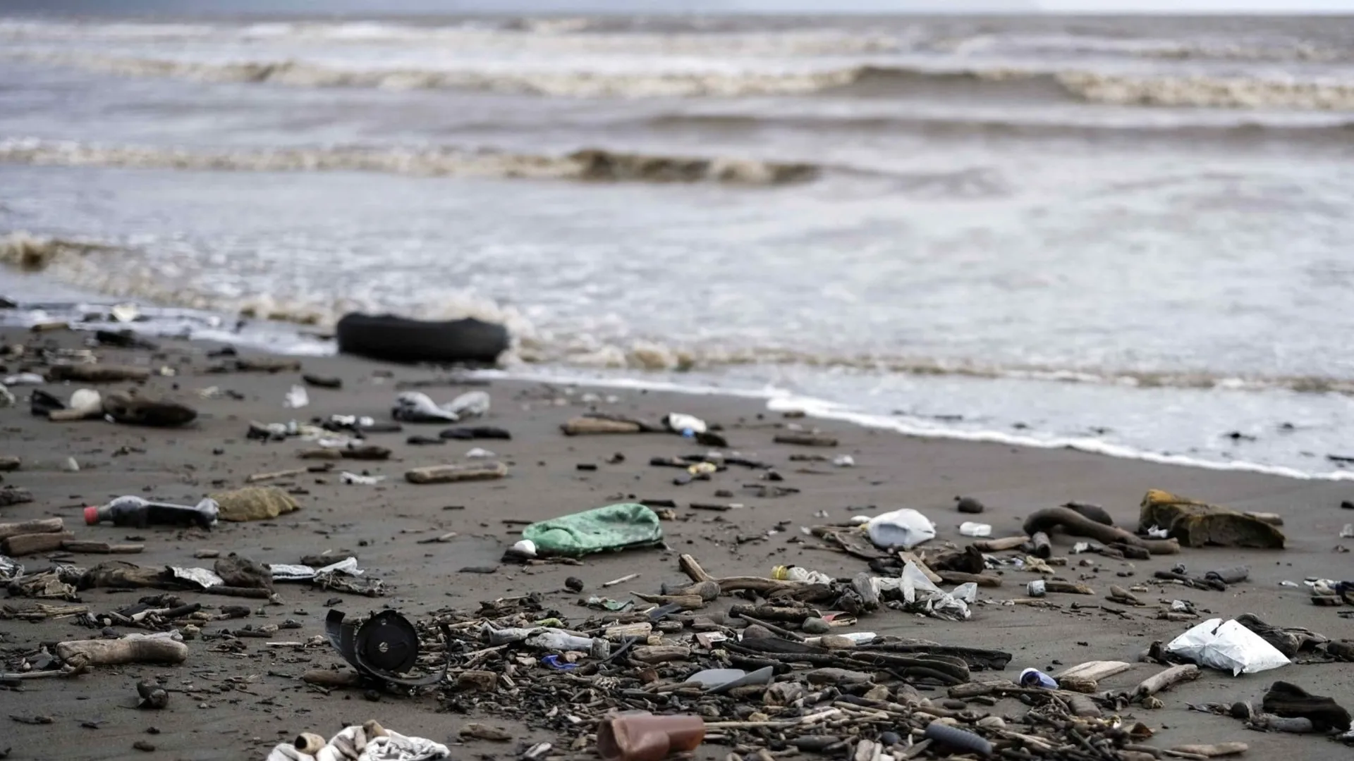 Residuos en la costa bonaerense: 78% son plásticos — Imagen 1