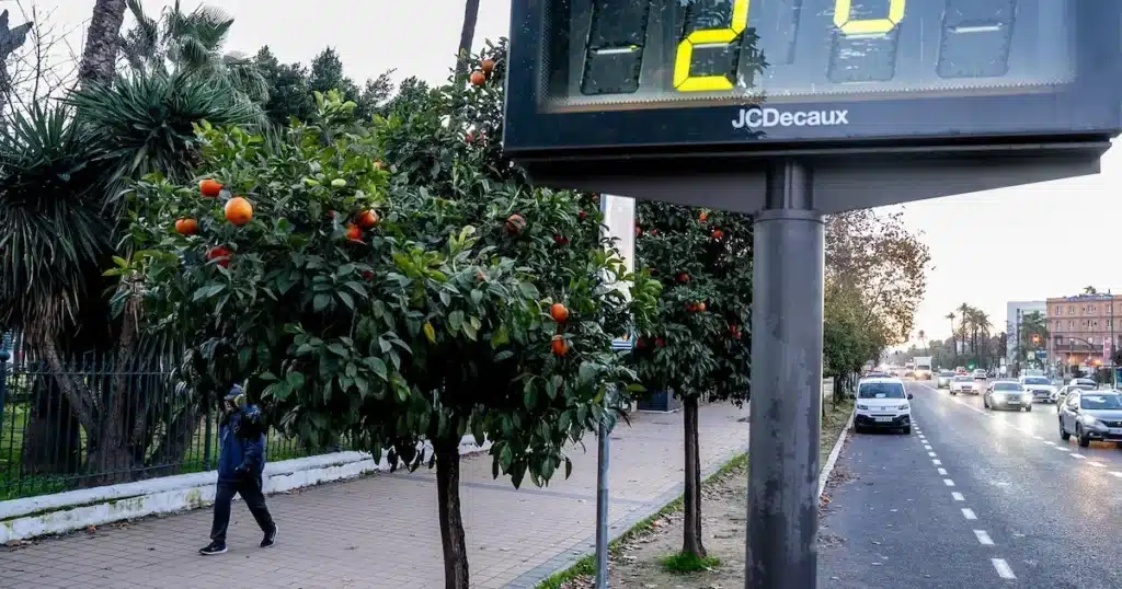 Adamuz registra cero grados en el punto de congelación y llega a máximas de 14…