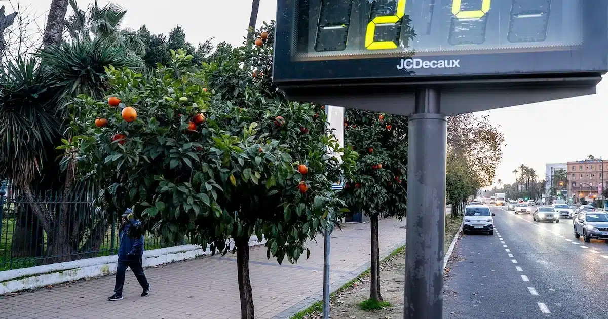 Adamuz registra cero grados en el punto de congelación y llega a máximas de 14…