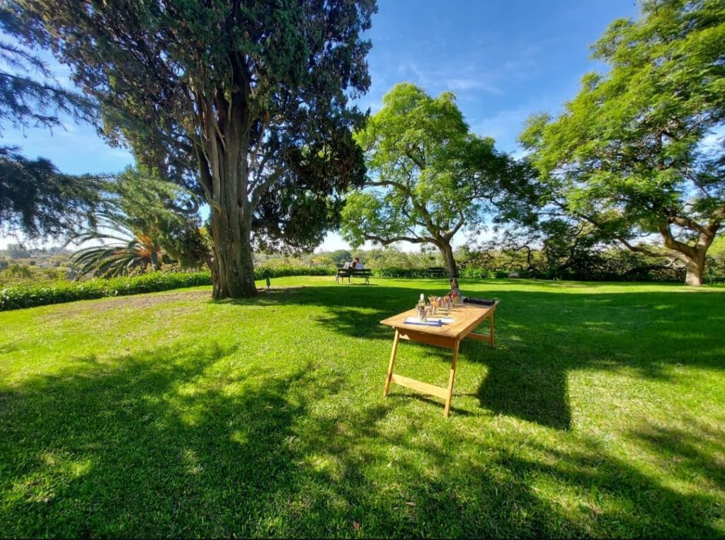 Tres museos de San Isidro abren sus jardines para el verano — Imagen 1