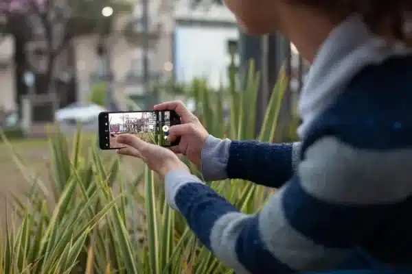 Almirante Brown impulsa creación de contenido audiovisual con celular — Imagen 1