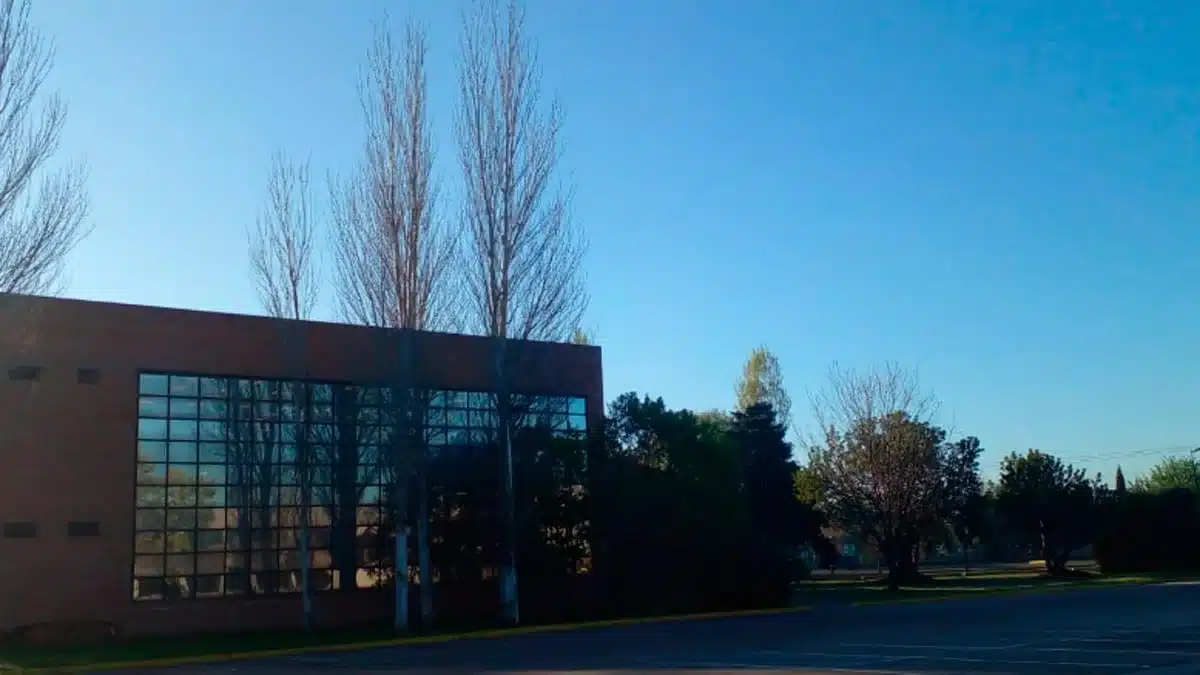 Templada en la zona sur del Conurbano con máximas de 30 grados — Imagen 1