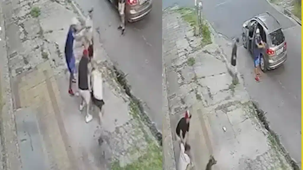 Violento robo en Lanús evitado por perro: El robo en Lanús ocurrió en miércol…