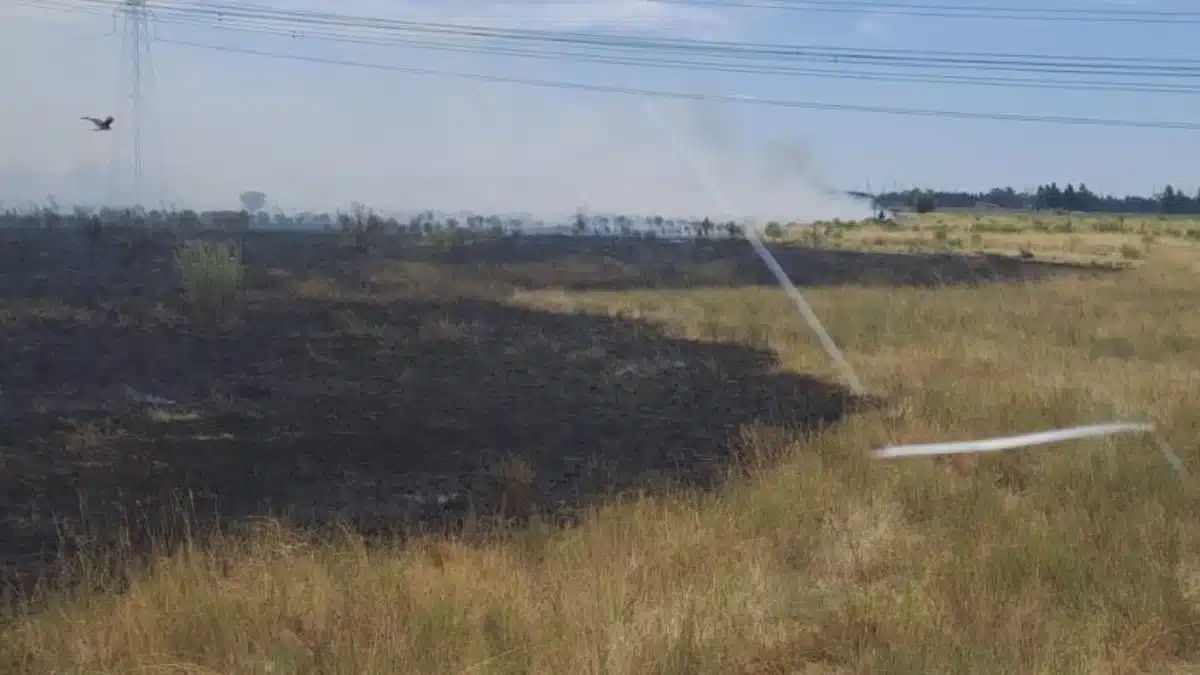 Incendios en Esteban Echeverría superan promedio diario — Imagen 1