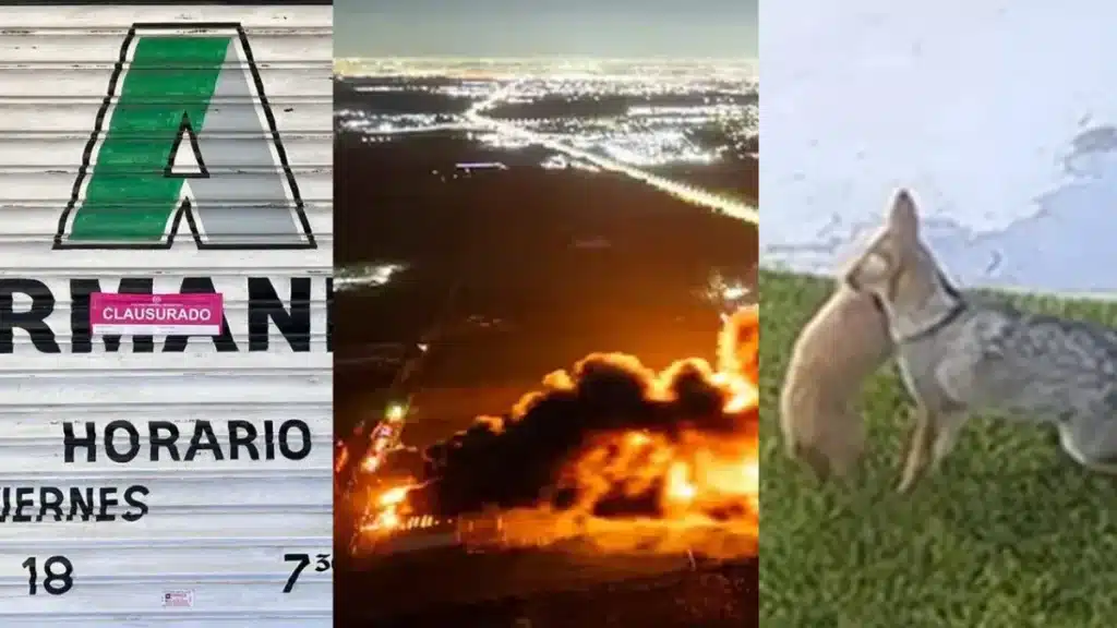 Lo que quedó en 2025 en Canning: logros colectivos y conflictos — Imagen 1