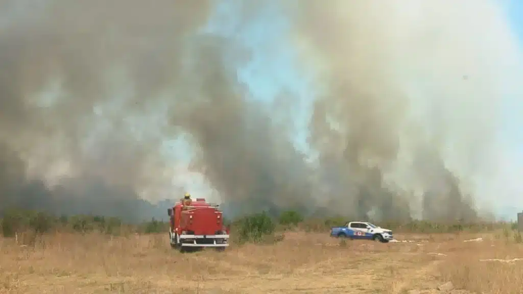 Incendio en Ezeiza: múltiples dotaciones combaten el fuego en pastizales —…