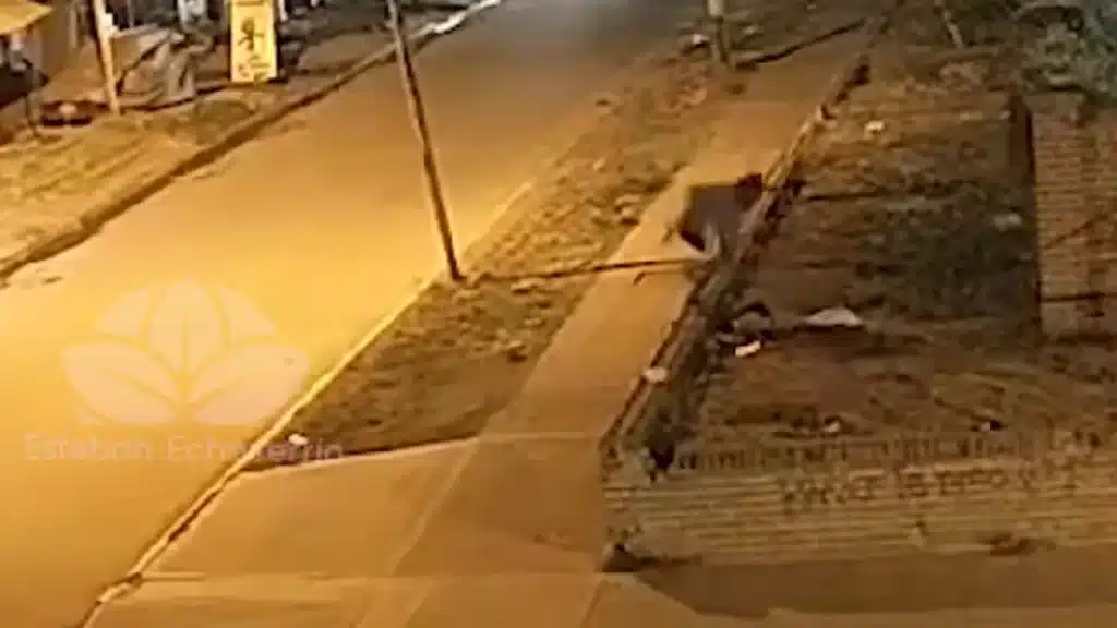 Detienen a un hombre por robo en una escuela de Monte Grande — Imagen 1