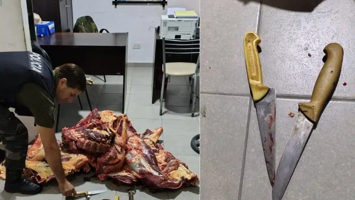 Detenidos en Canning por carne clandestina de $150 kilos — Imagen 1