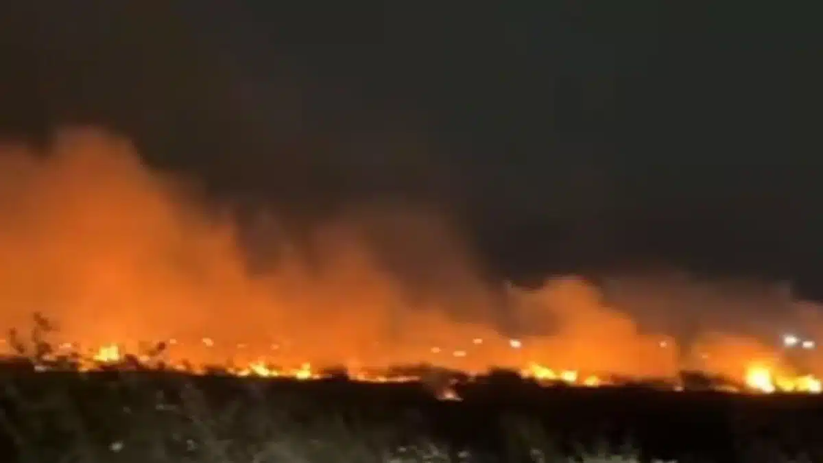 Incendios en Almirante Brown dejan preocupación — Imagen 1