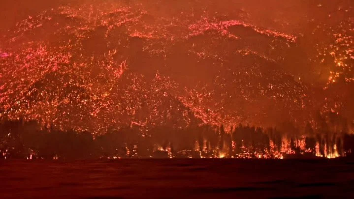 Pirillo apunta contra el abandono ambiental: “Basta de bosques en…