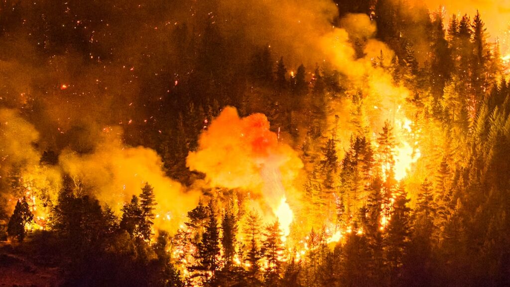 Vecinos de San Vicente apoyan a brigadistas en Patagonia con insumos y —…