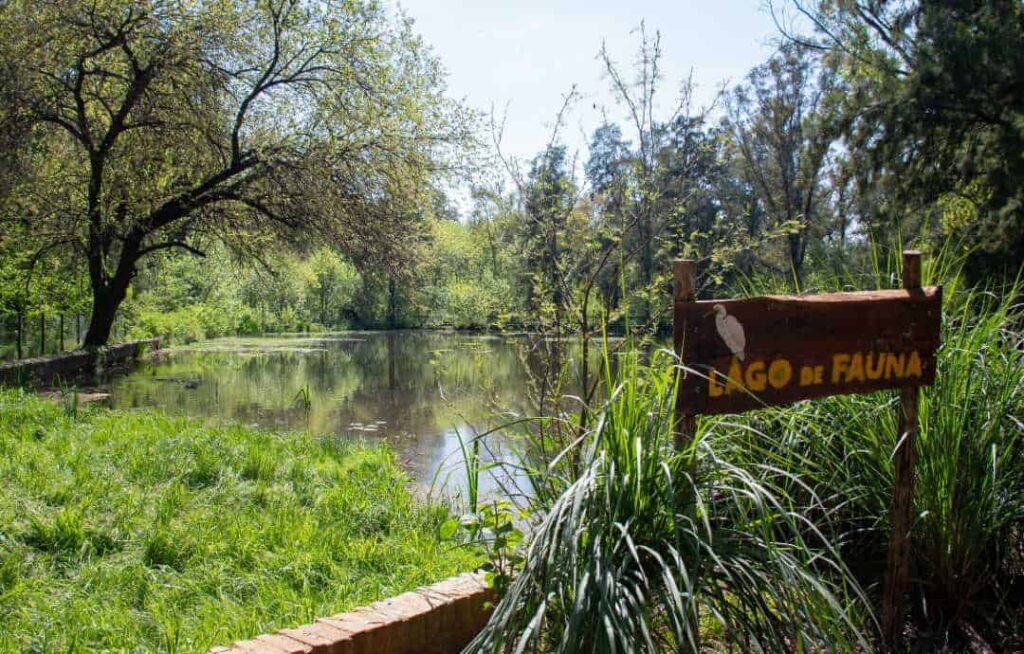 Qué se puede hacer gratis este fin de semana en Moreno? — Imagen 1