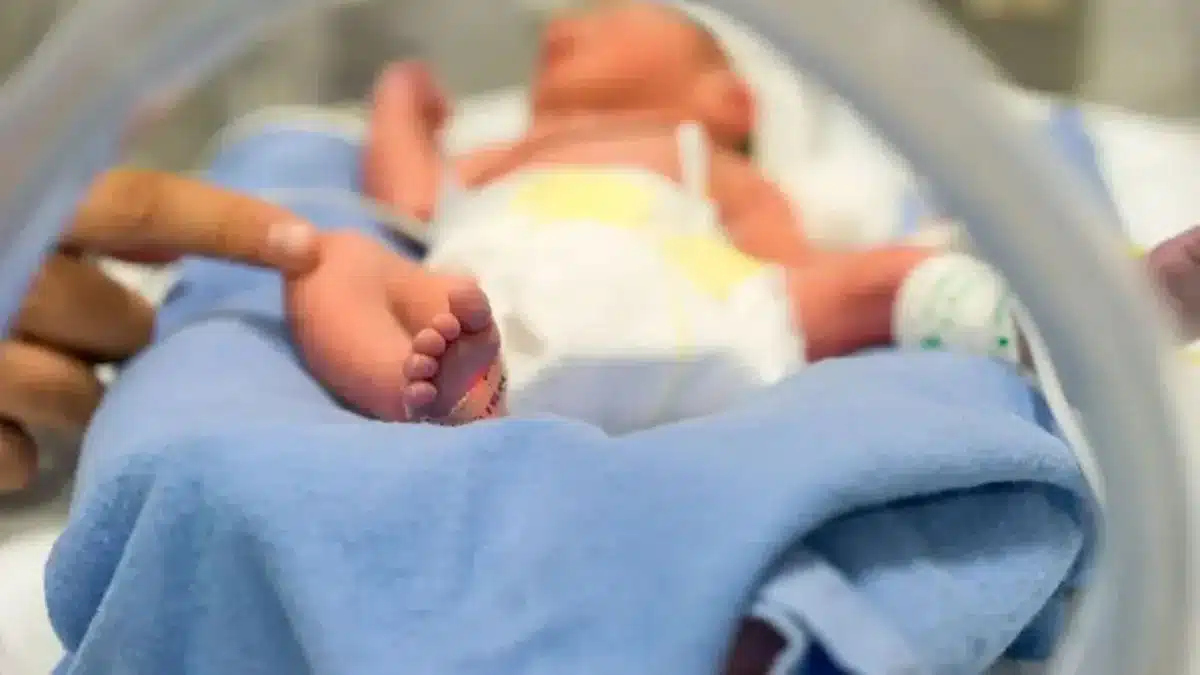 Esteban Echeverría superó nacimientos a defunciones en 2025 — Imagen 1