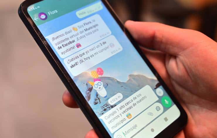 Flora permite acceder a resultados de estudios por imágenes a través de…