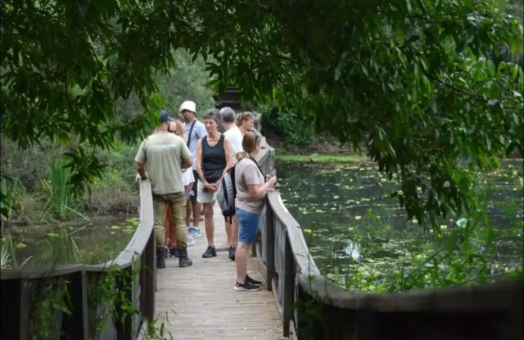 La Reserva Natural de Vicente López ofrece un paseo tranquilo entre aves y…