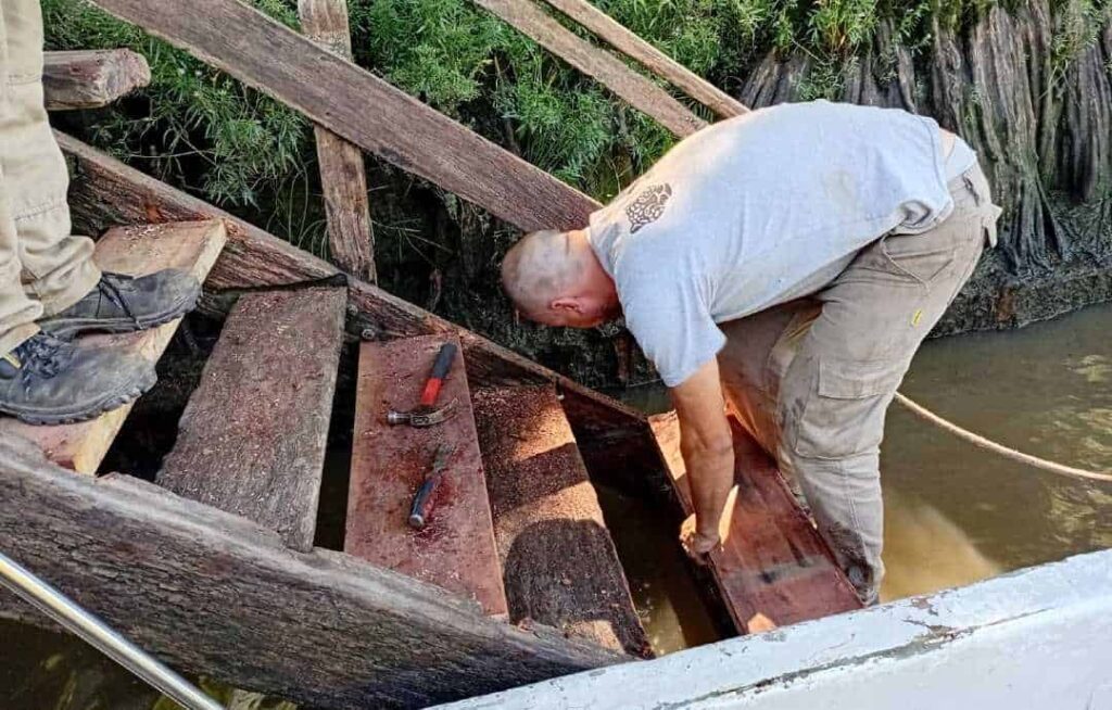 Municipalidad de Tigre implementa obras de mantenimiento en el Delta — Imagen 1