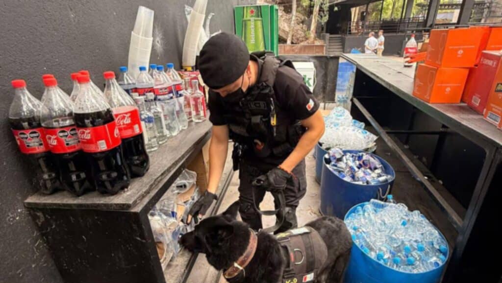 Drogas secuestradas en fiesta electrónica en Córdoba