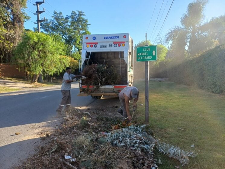 Escobar: Cronograma de recolección de ramas semanal