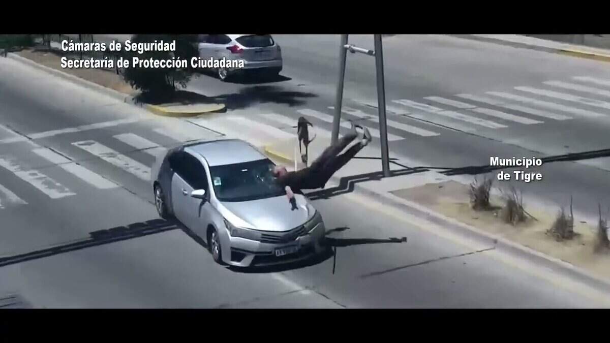 Tigre: Auto embiste a peatón que cruzaba Ruta 197