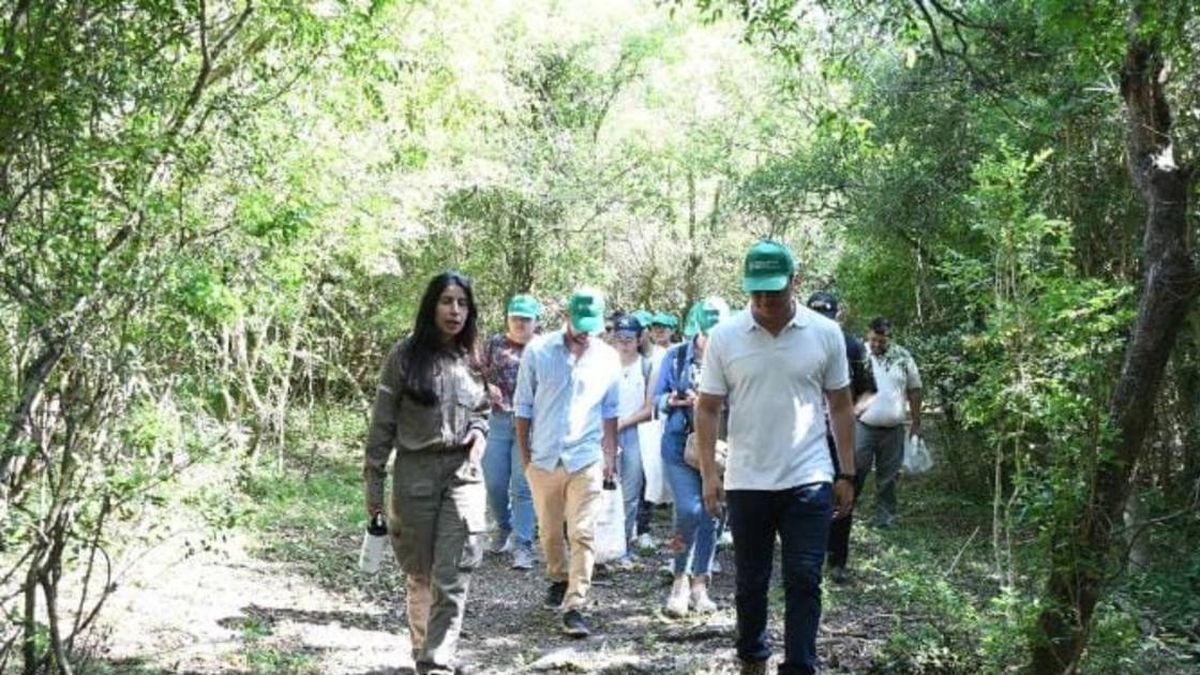 Actividades ambientales en Lomas de Zamora