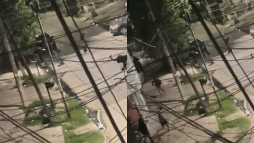 Asesinato en Lanús: Disputa barrial en Villa Jardín