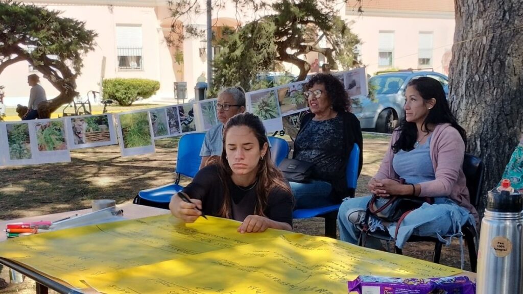 Cannabis terapéutico para mayores en San Vicente