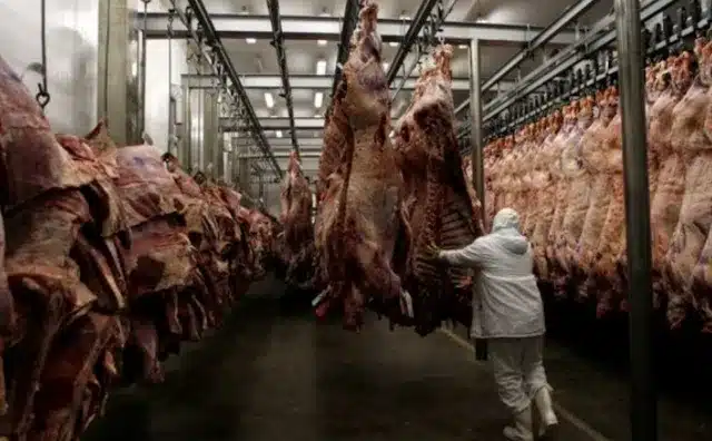 Cerró frigorífico San Roque en Morón: 140 despidos