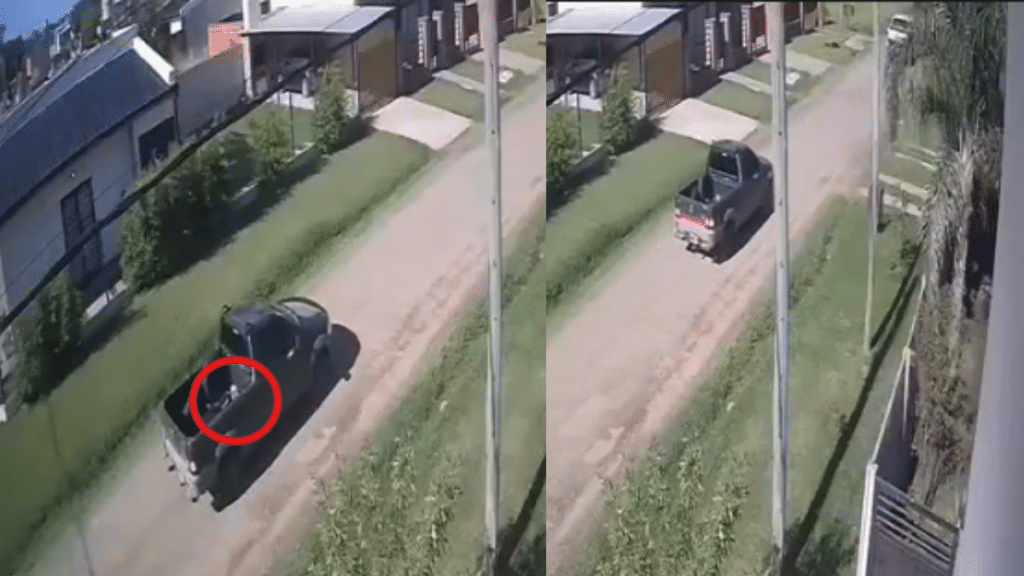 Familia denuncia el secuestro de su perro en San Vicente