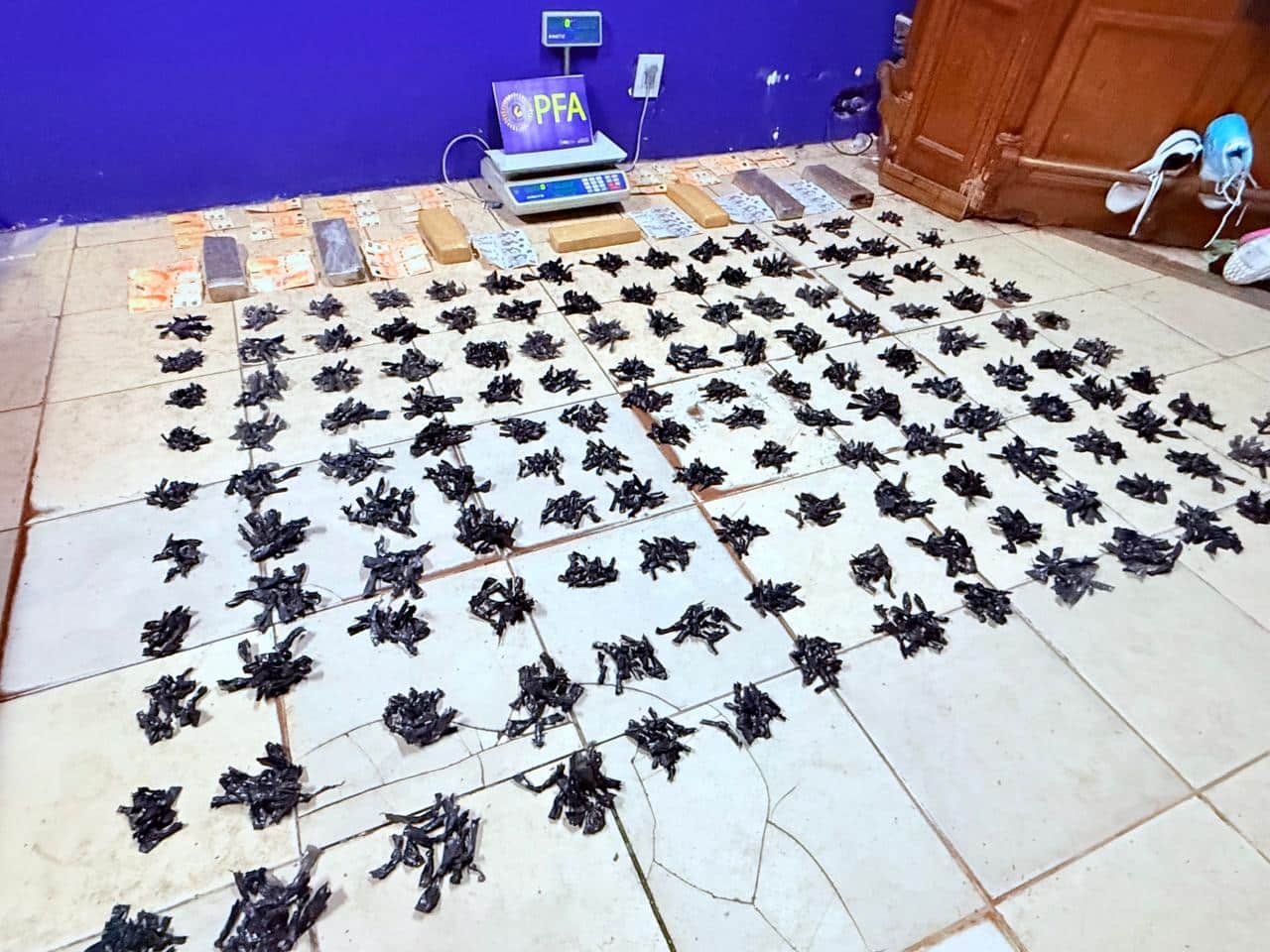 Lomas de Zamora: Desbaratan búnkeres narco con drones