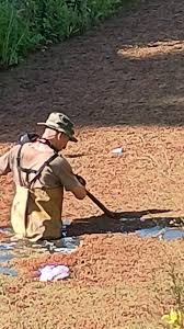 Rastrillajes por persona desaparecida