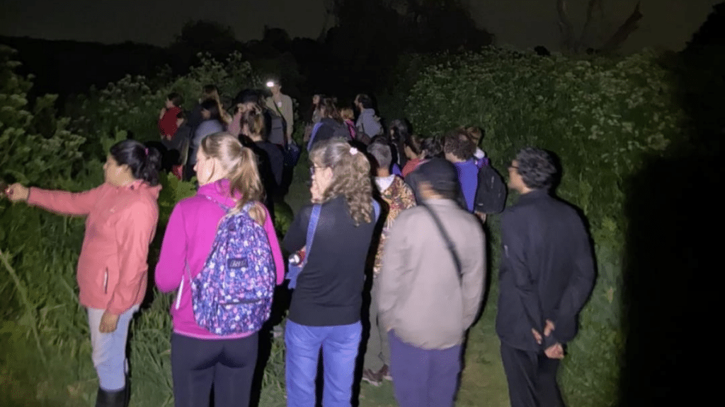 Taller de mariposas nocturnas en San Vicente