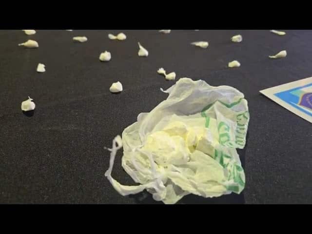 Allanamiento por drogas en Villa de Mayo: Detenidos