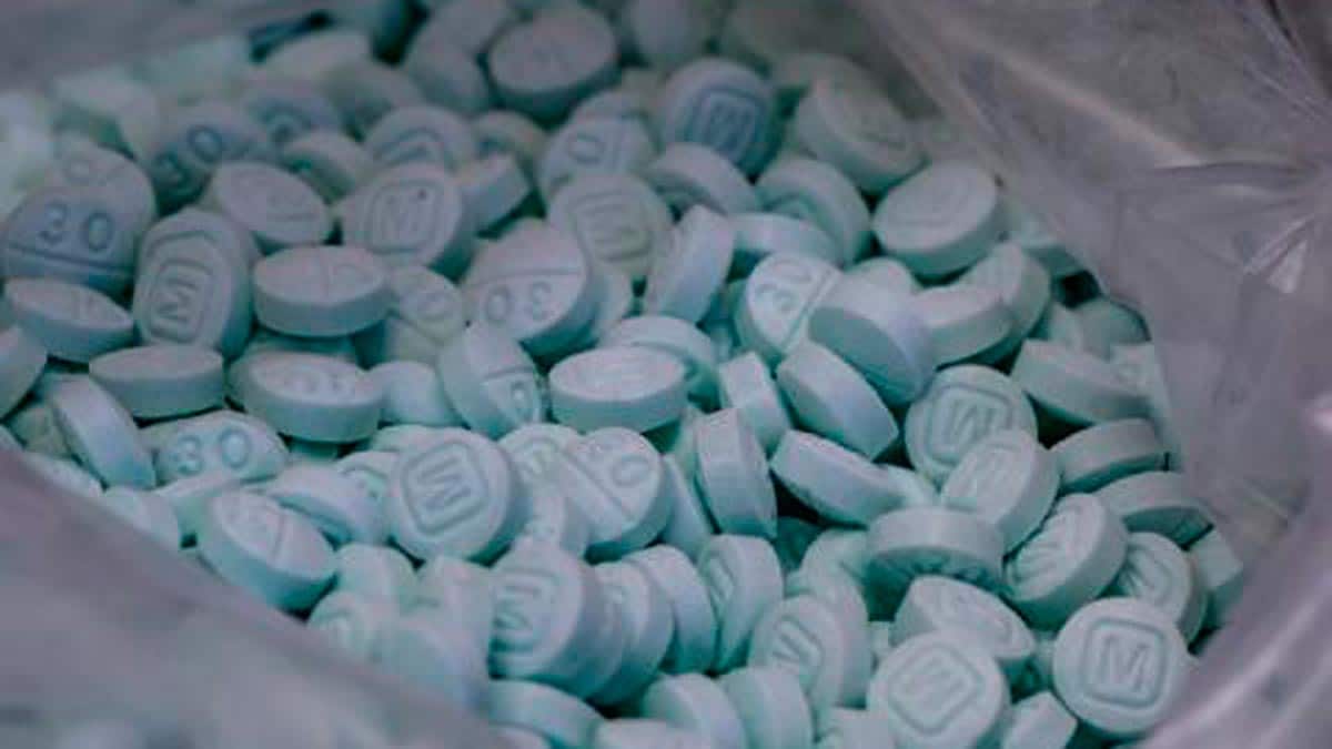 Allanamiento por robo de anestesia en caso 'Propofest'