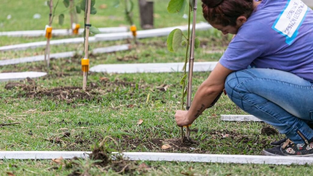 Almirante Brown: Avanza la forestación en Parque Don Orione