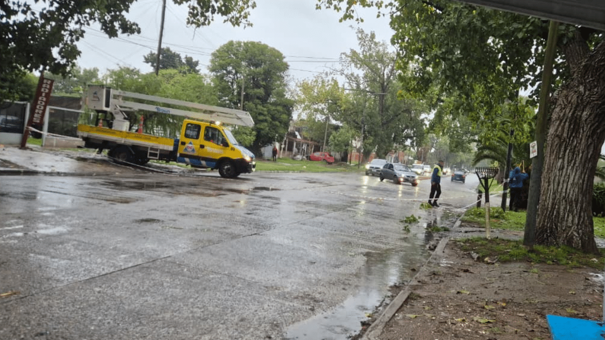 Colectivo enganchó cable y cortó el tránsito en Almirante Brown