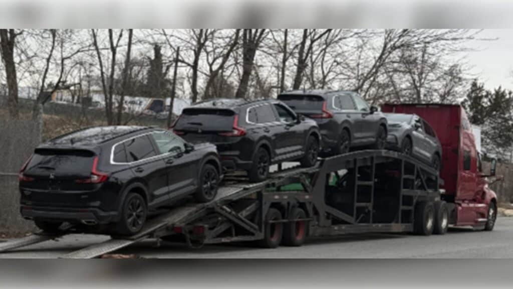 Desmantelan banda que robaba autos para exportar